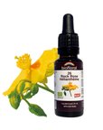 No. 26 Rock Rose