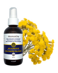 Helichrysum Hydrosol