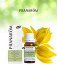Ylang-Ylang (totum) | P-E03