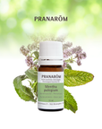 Pennyroyal