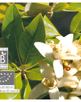 Neroli (10% pre-blended) | P-E12