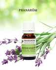 True Lavender