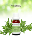 Thyme Thymol