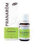 Cardamom