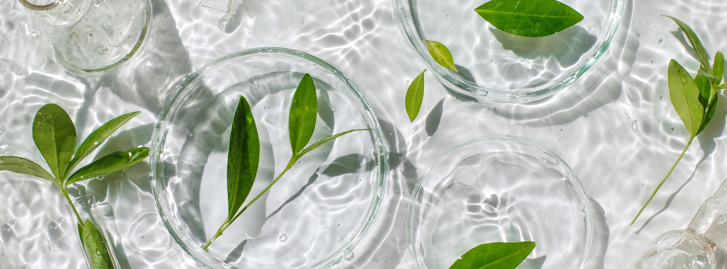 Beauty - Face - Serums