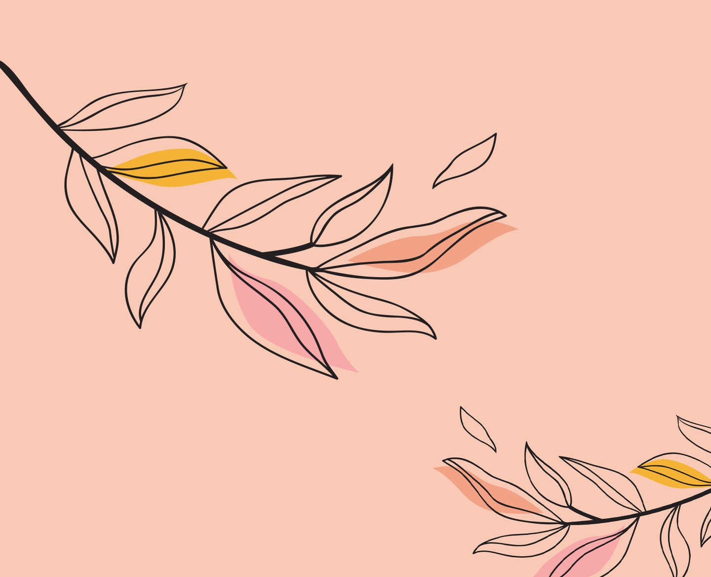 Centifolia / Skin Care / Essential