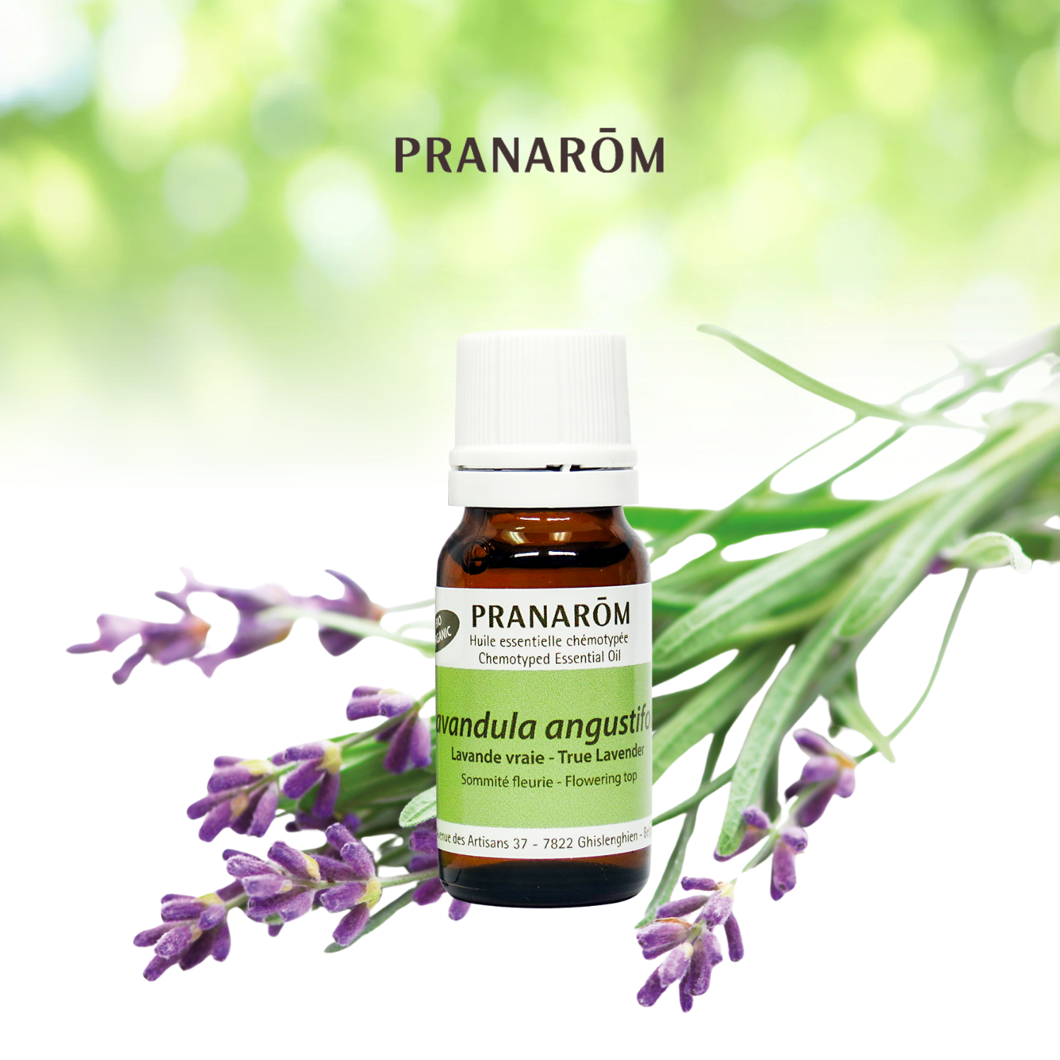 True Lavender