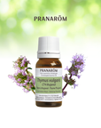 Thyme Thujanol | P-E74