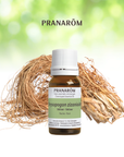 Vetiver