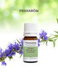 Hyssop